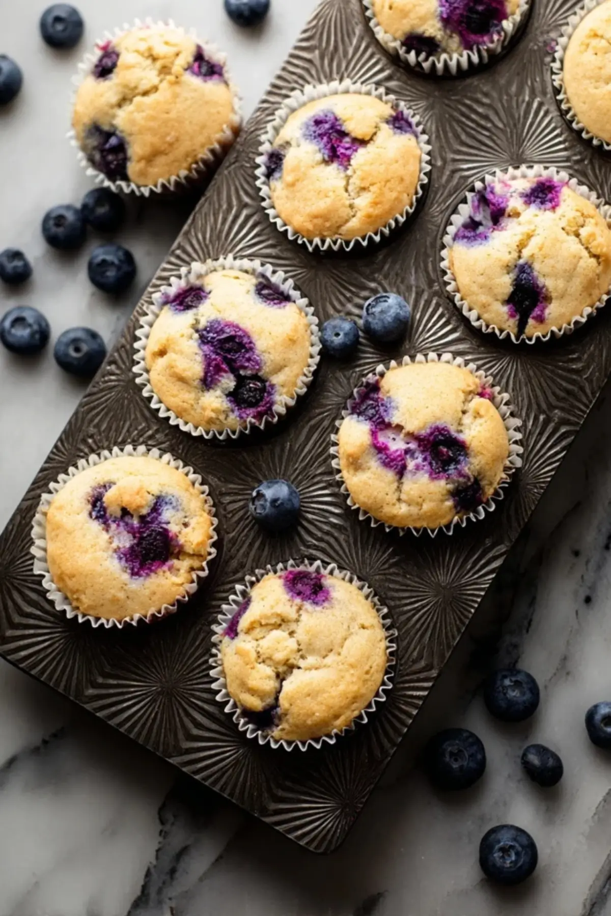 Heidelbeer Protein Muffins