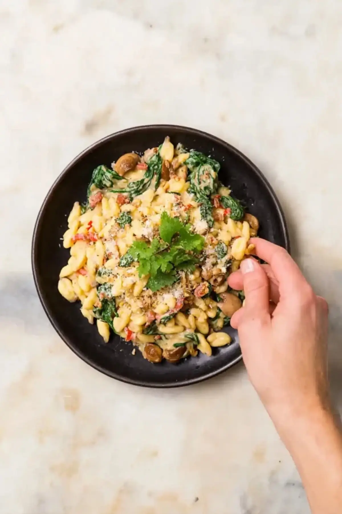 Spinat Spätzle Pfanne