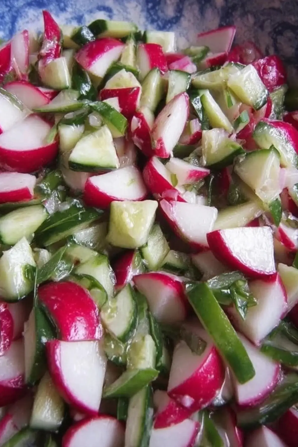 Radieschensalat mit Gurke
