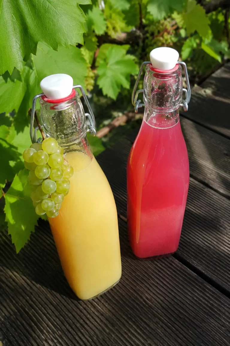 Traubensaft selber machen: Einfaches Rezept